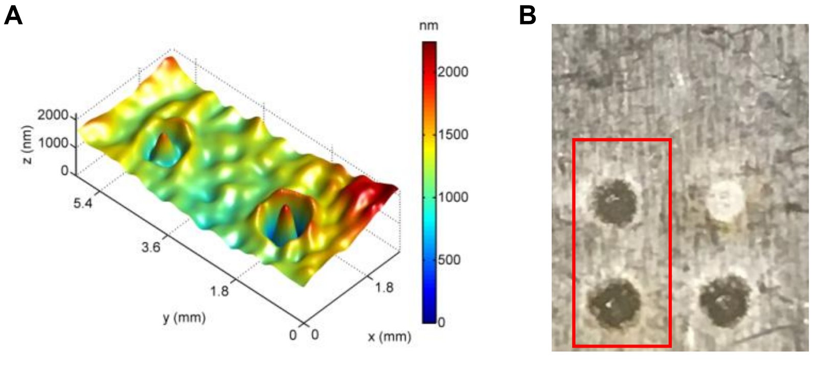 Considerations for in situ, real time measurement of plasma-material interactions using Digital Holographic imaging